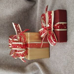 NWOT, Holiday Accent, Package